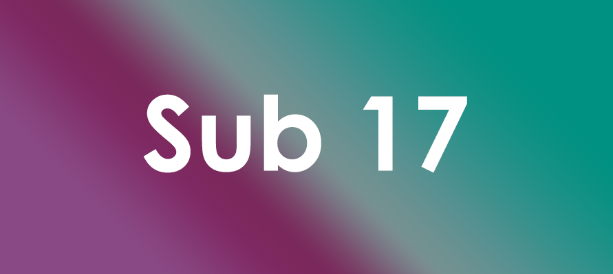 Resultados de sub13